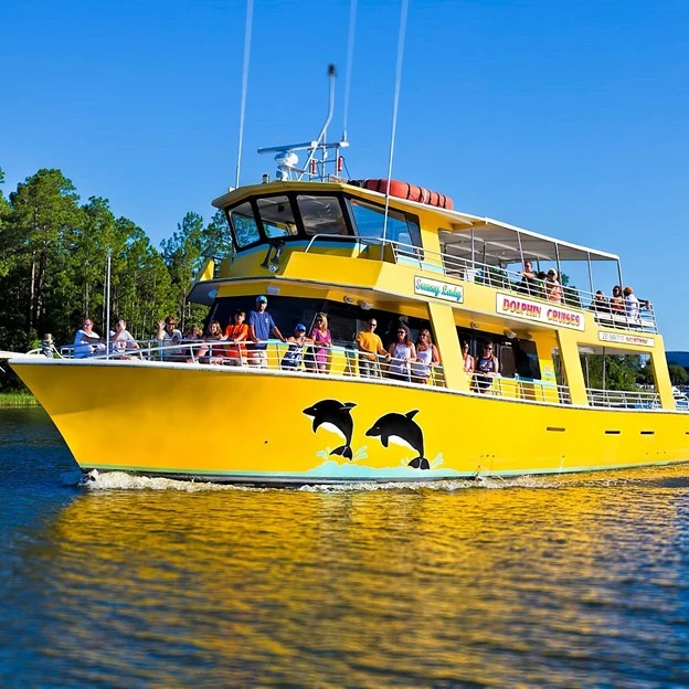 Dolphin Cruises (Dolphin Fun / Cetacean Cruises)