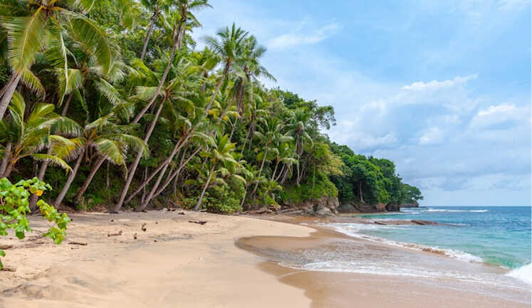 West Beach